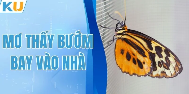 Mơ Thấy Bướm Bay Vào Nhà: Giải Mã Ý Nghĩa Cùng KUBET